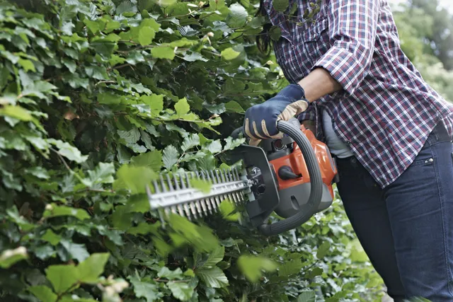 Długie ostrze zapewnia lepszy dostęp Husqvarna 122HD60 Nożyce do żywopłotu Długie ostrze zapewnia lepszy dostęp Husqvarna 122HD60 Nożyce do żywopłotu